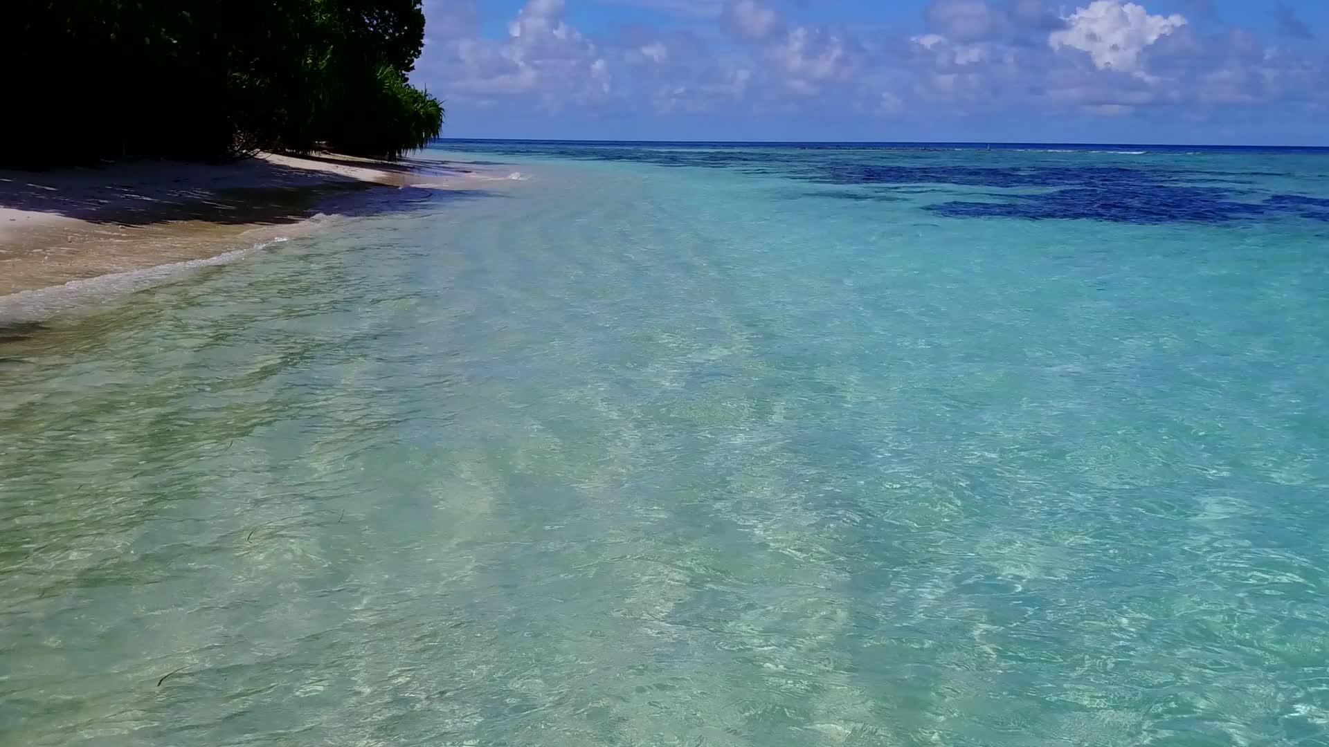 在有白沙背景的棕榈树附近的清海度过豪华的海滨海滩度假视频的预览图