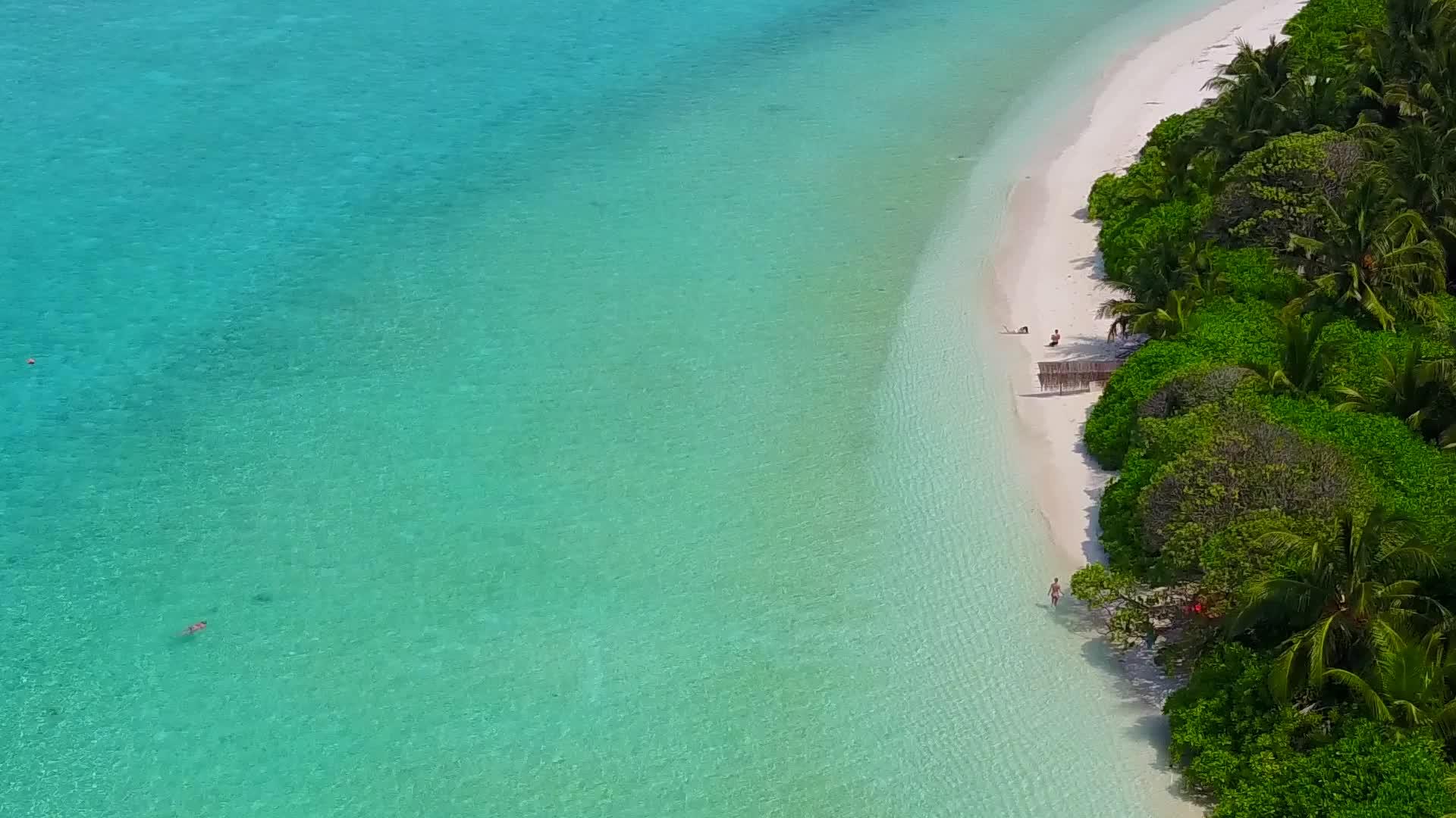 热带岛屿海滩在夏季因蓝水和棕榈树附近的白色海滩背景而破裂视频的预览图