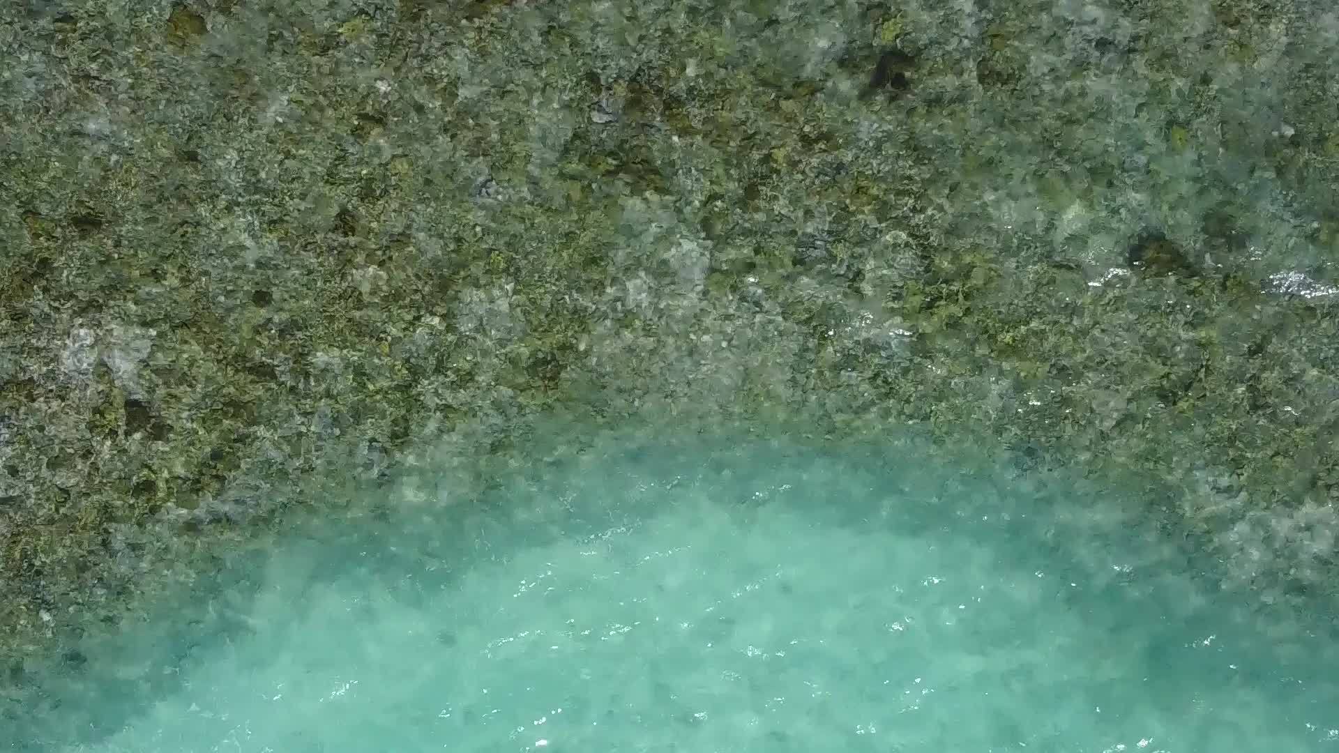 透明的大海和棕榈树附近的白沙背景完美的海滩生活方式视频的预览图