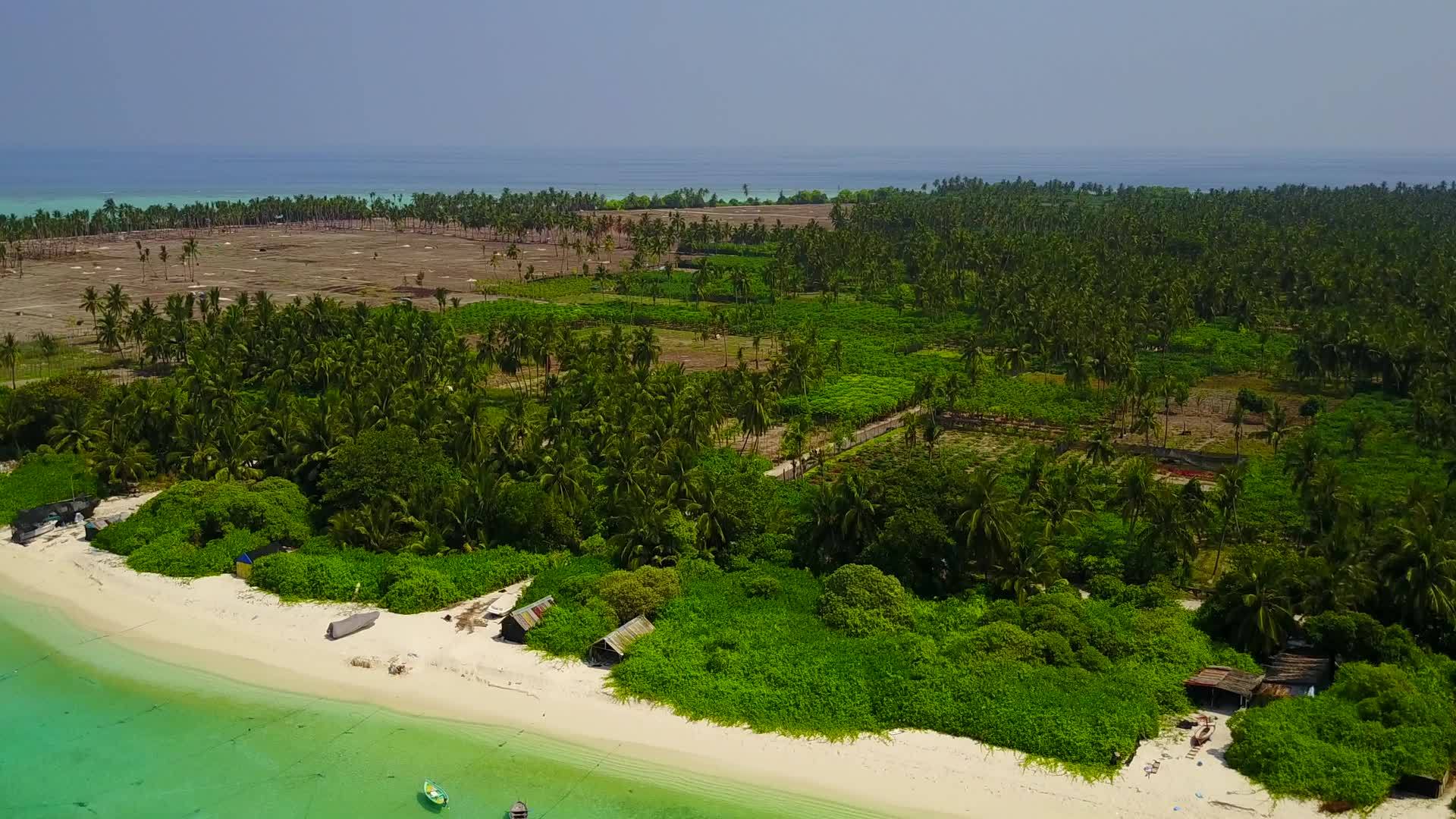 绿色的海洋度假胜地和棕榈树附近的白沙阳光明媚视频的预览图