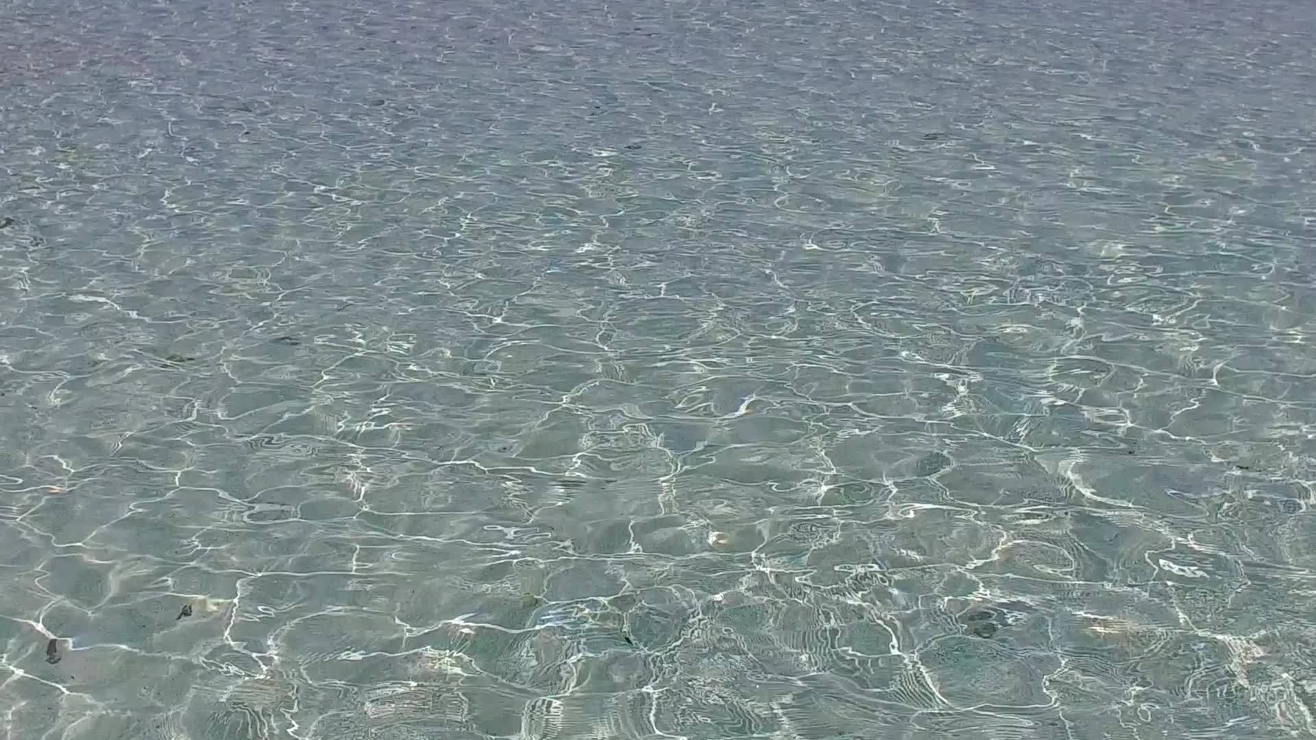 浅水和接近冲浪的白色海滩有温暖美丽的背景视频的预览图