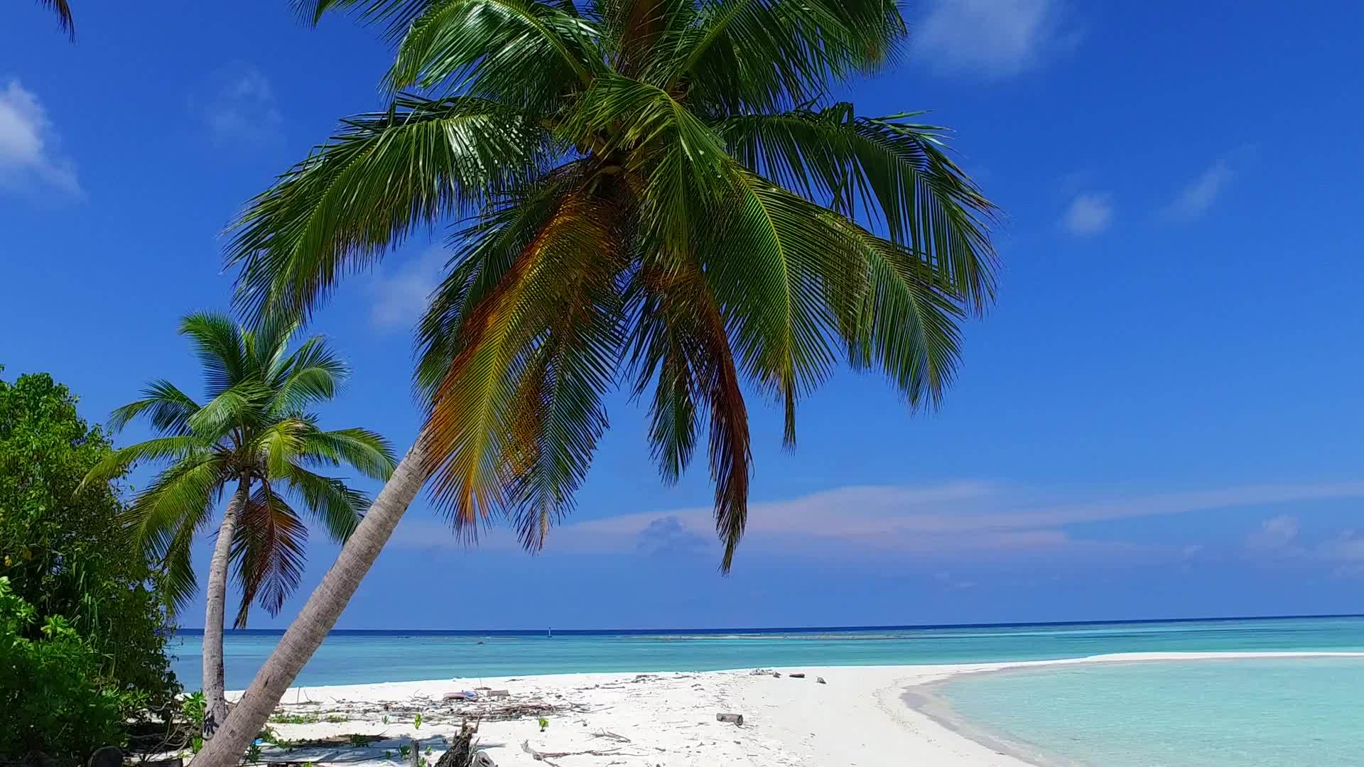 美丽的度假海滩夏天的风景被透明的海洋打破白色的海浪在海浪附近视频的预览图