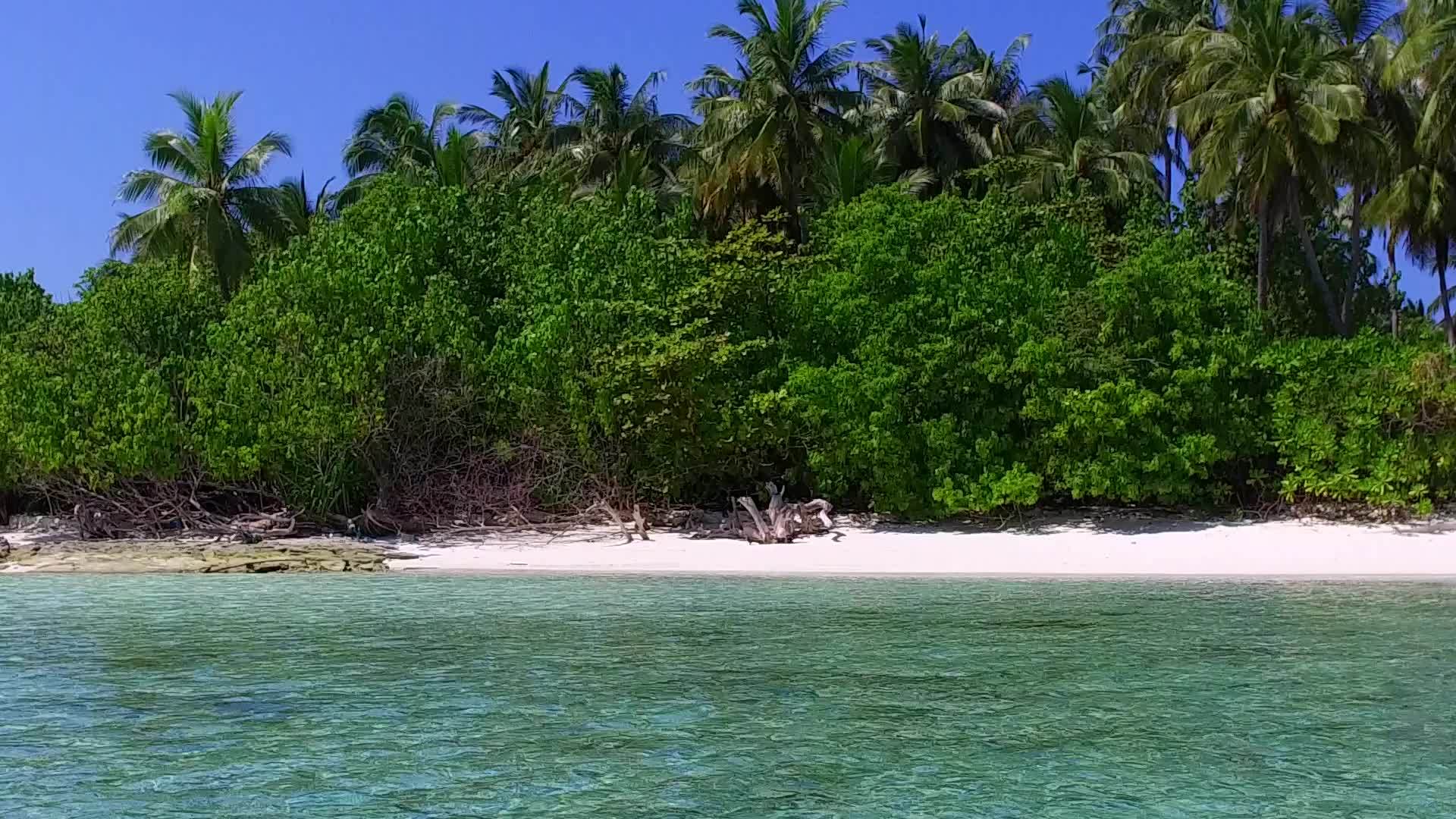 靠近绿色海洋和珊瑚礁的白沙本背景放松海岸线的海滩探险视频的预览图