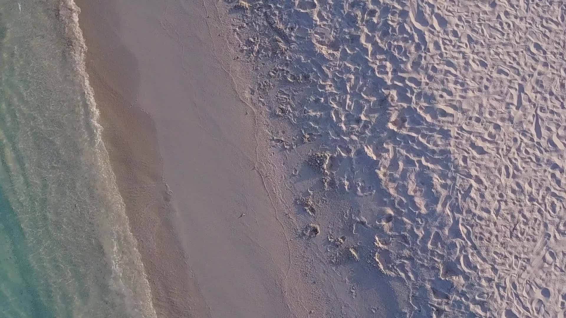 浅环礁棕榈湖附近有一个白色的沙子背景视频的预览图
