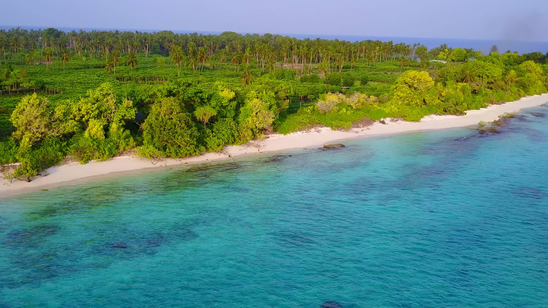 沙巴岛附近的透明海和白色海滩背景的美丽岛屿海滩野生生物视频的预览图