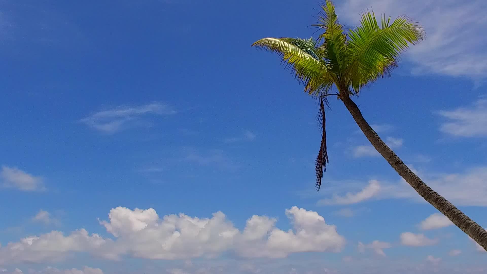 海蓝水蓝环礁湖打破海滩的天堂海滩在度假胜地附近视频的预览图