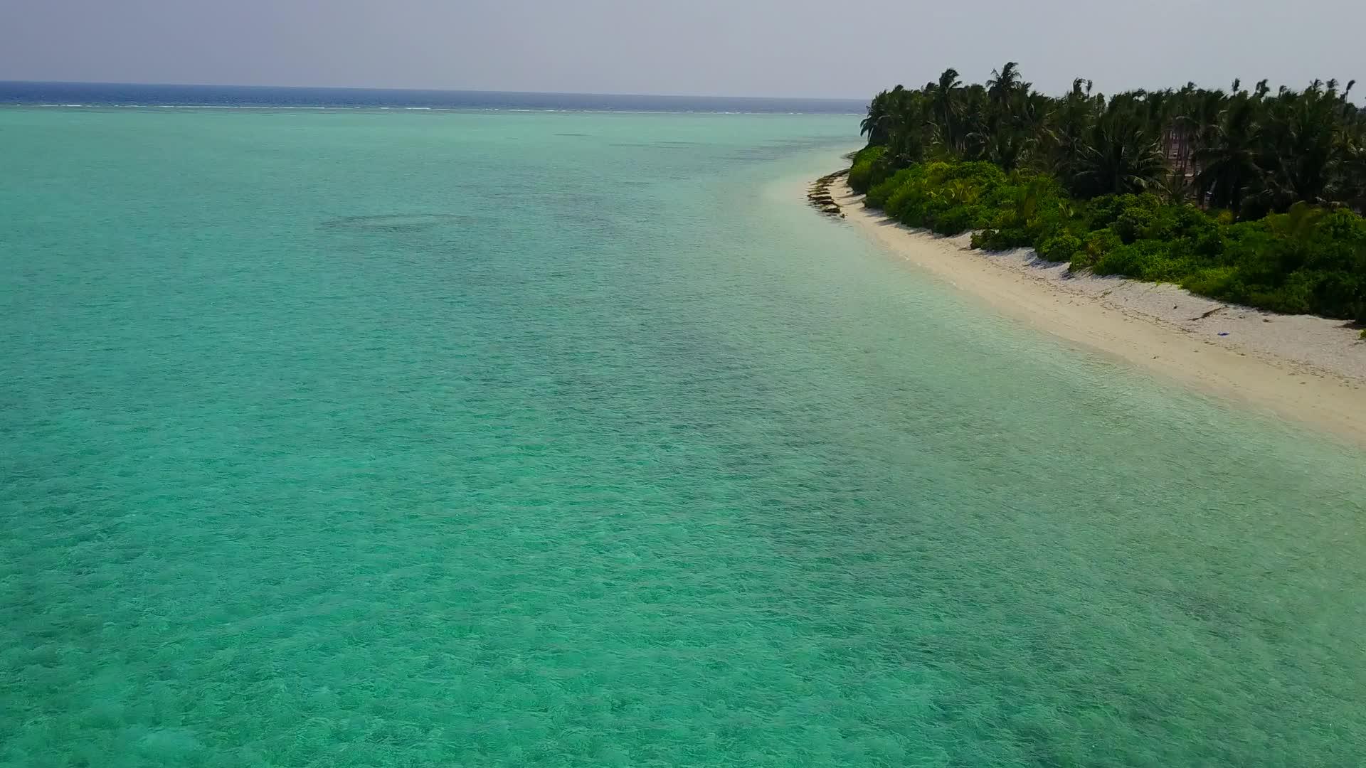 沿海海滩航行没有沿海性质的海蓝海洋和棕榈树附近的白沙视频的预览图