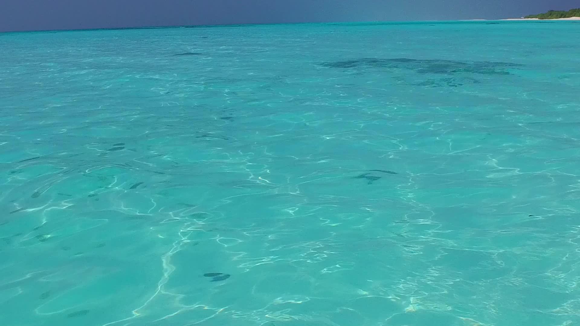 通过的沙尘背景通过蓝海和沙滩附近的浅沙背景平静旅游视频的预览图