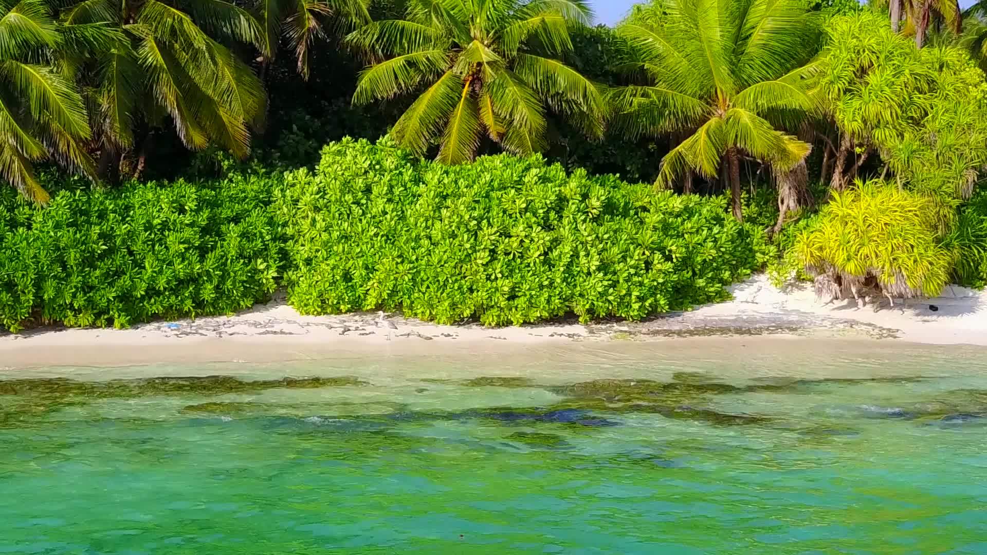 在礁石附近的白色沙滩上复制宁静的泻湖海滩旅行视频的预览图