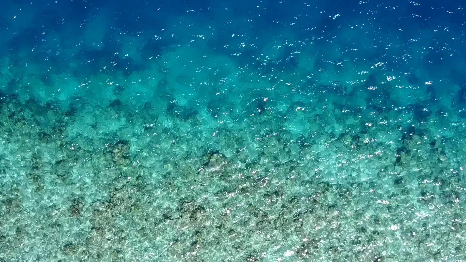 白色浅滩利用透明环礁湖和沙巴附近的白色沙土背景形成视频的预览图