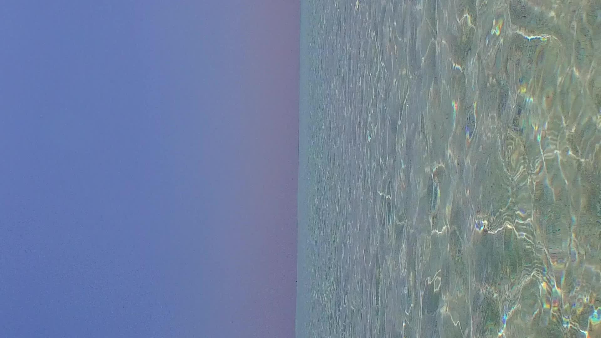 完美的海湾海滩之旅浪漫风景在海平面蓝色海滩棕榈树附近视频的预览图