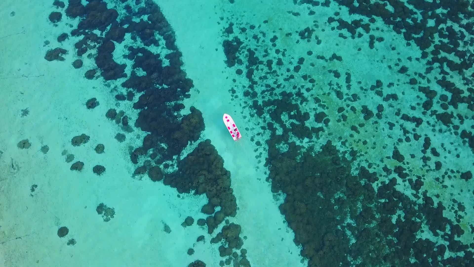 海水环礁海滩冒险的浪漫质感是日出后的白沙背景视频的预览图