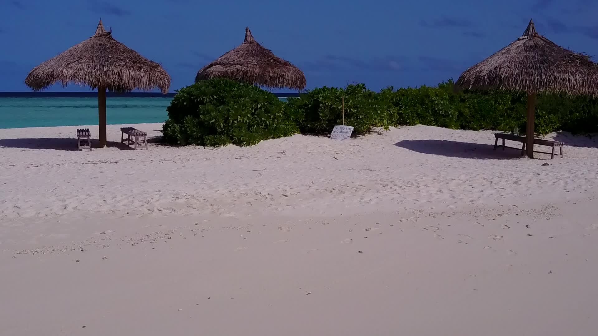 海平面上的水蓝色海棕榈树附近有一个白色的沙底背景视频的预览图