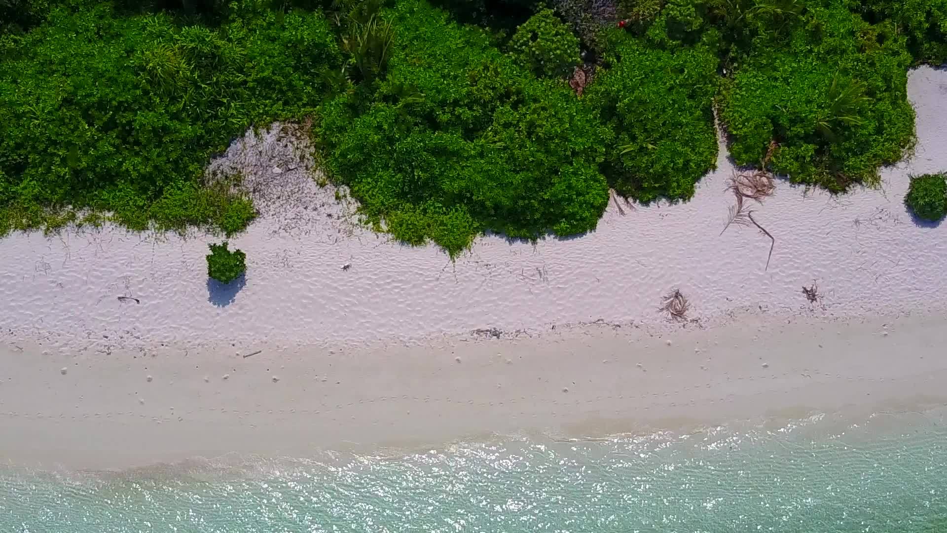 复制美丽和冲浪附近的白色海滩视频的预览图