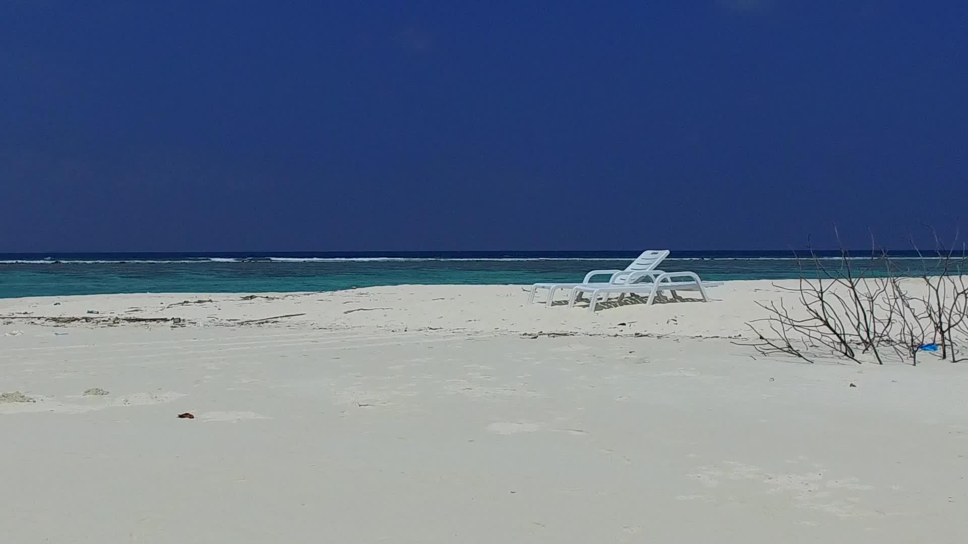 在绿松石海和棕榈树附近明亮的海滩背景下豪华海岸线海滩野生动物视频的预览图