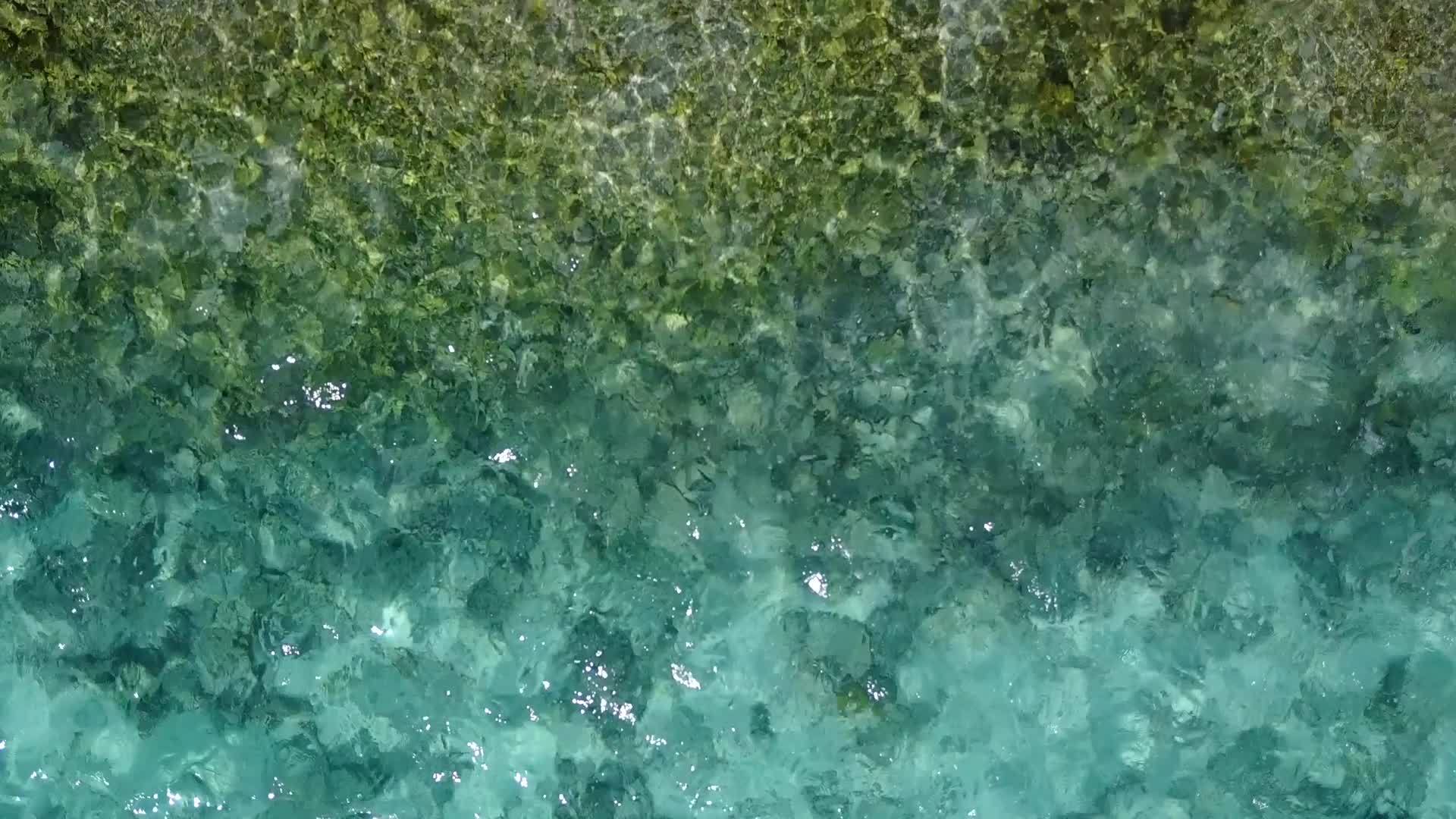 沿着绿色的海滩在棕榈树附近旅行视频的预览图