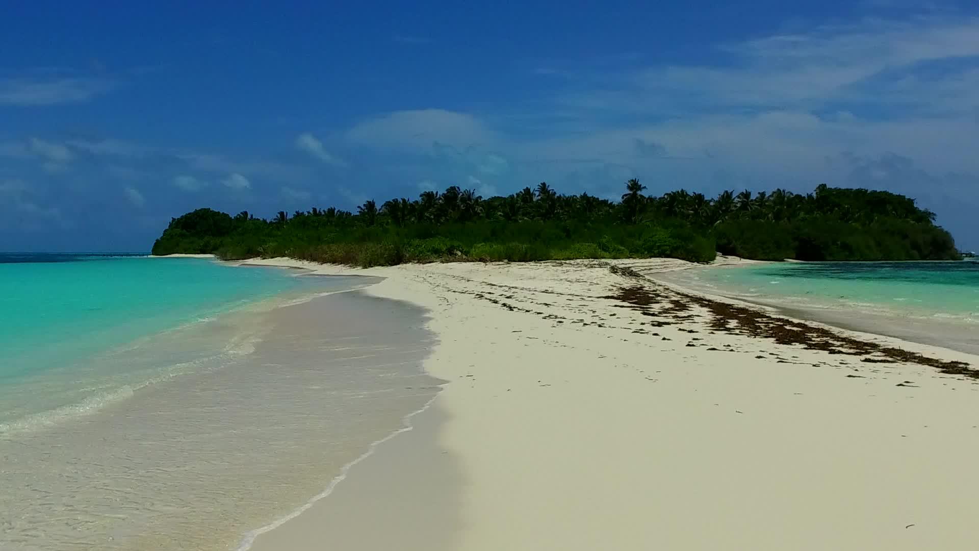 蓝色的海洋和棕榈树附近的浅沙背景阳光明媚的长环礁湖海滩假日视频的预览图