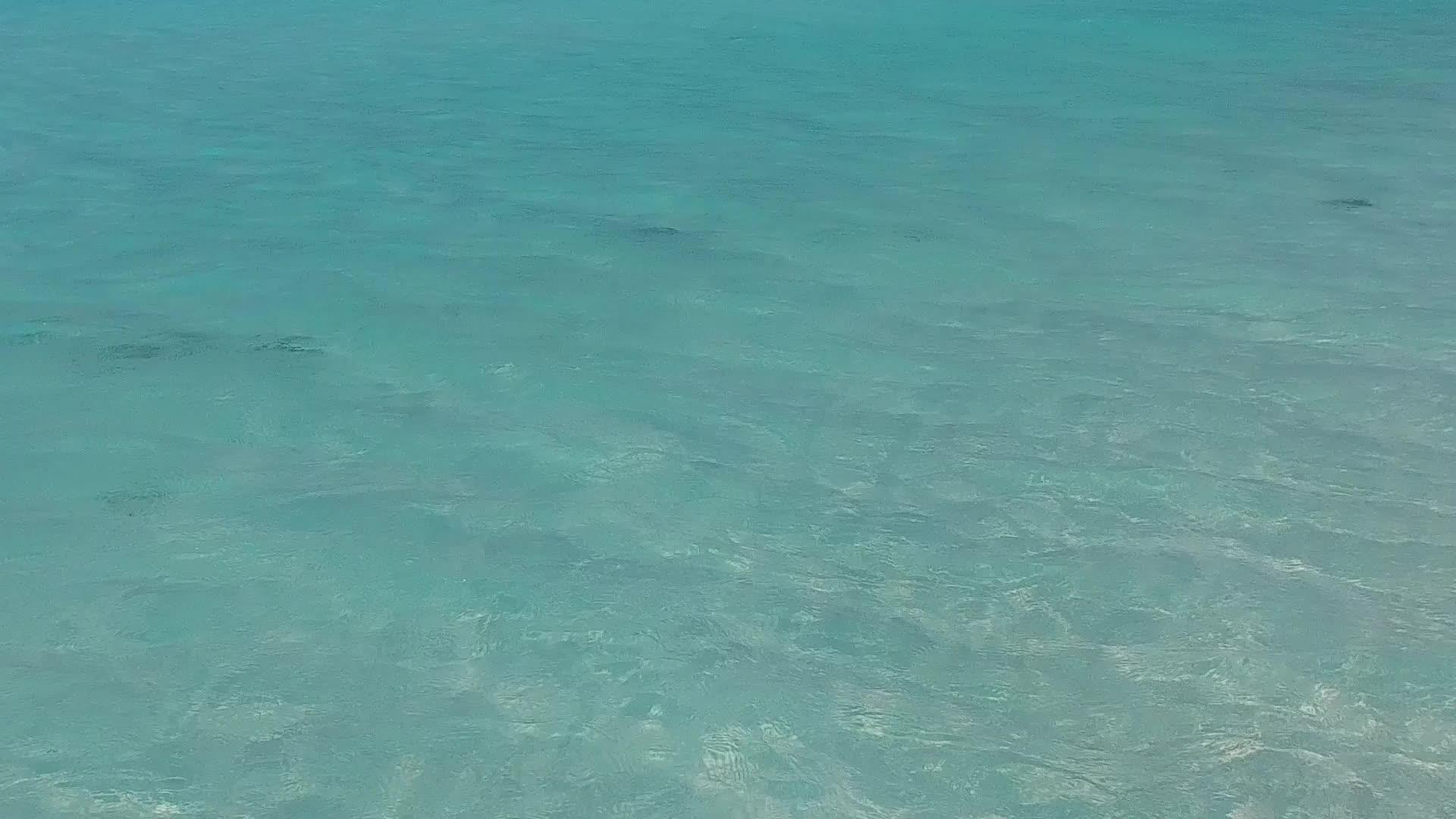 棕榈树附近的浅环礁湖背景为白沙在美丽的海岸线海滩上探索视频的预览图