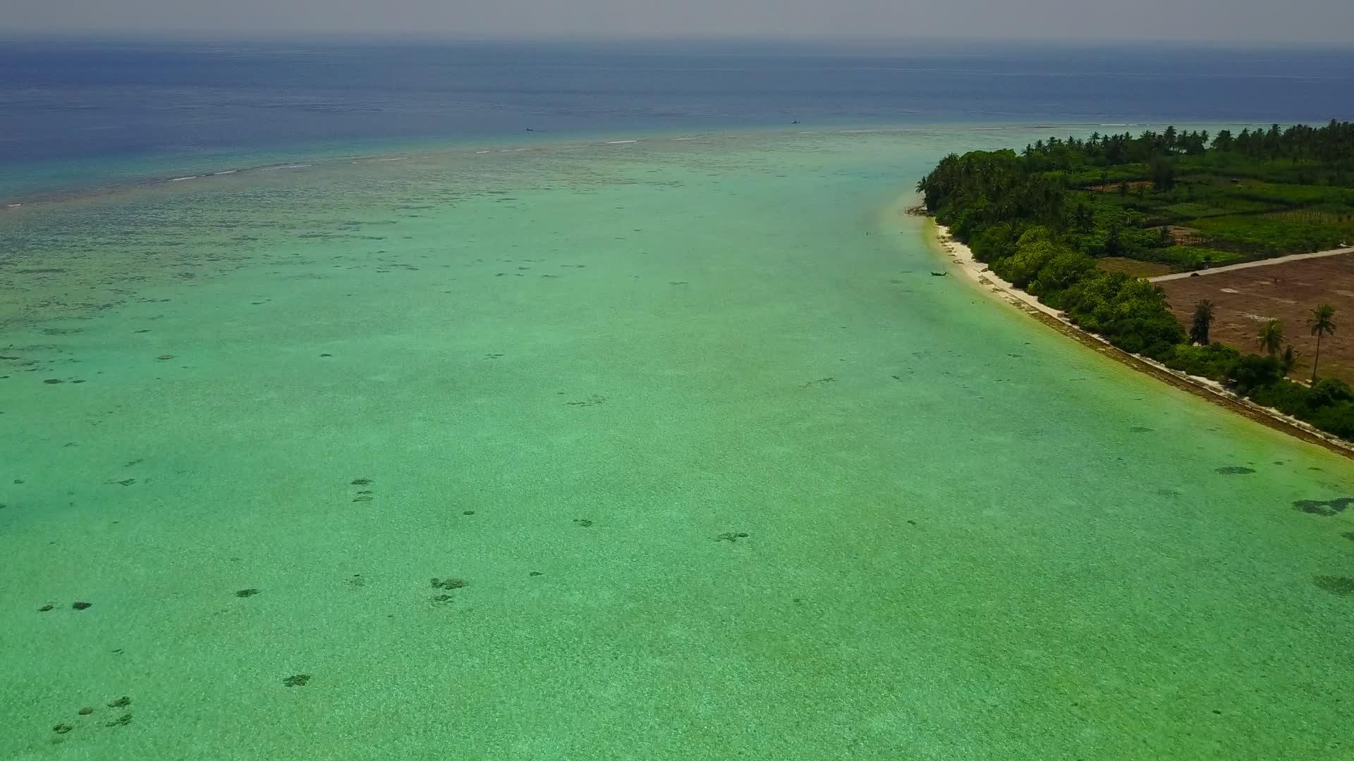 以白色沙底背景的白海为例在透明海滩附近冲浪时复制白色沙底背景视频的预览图