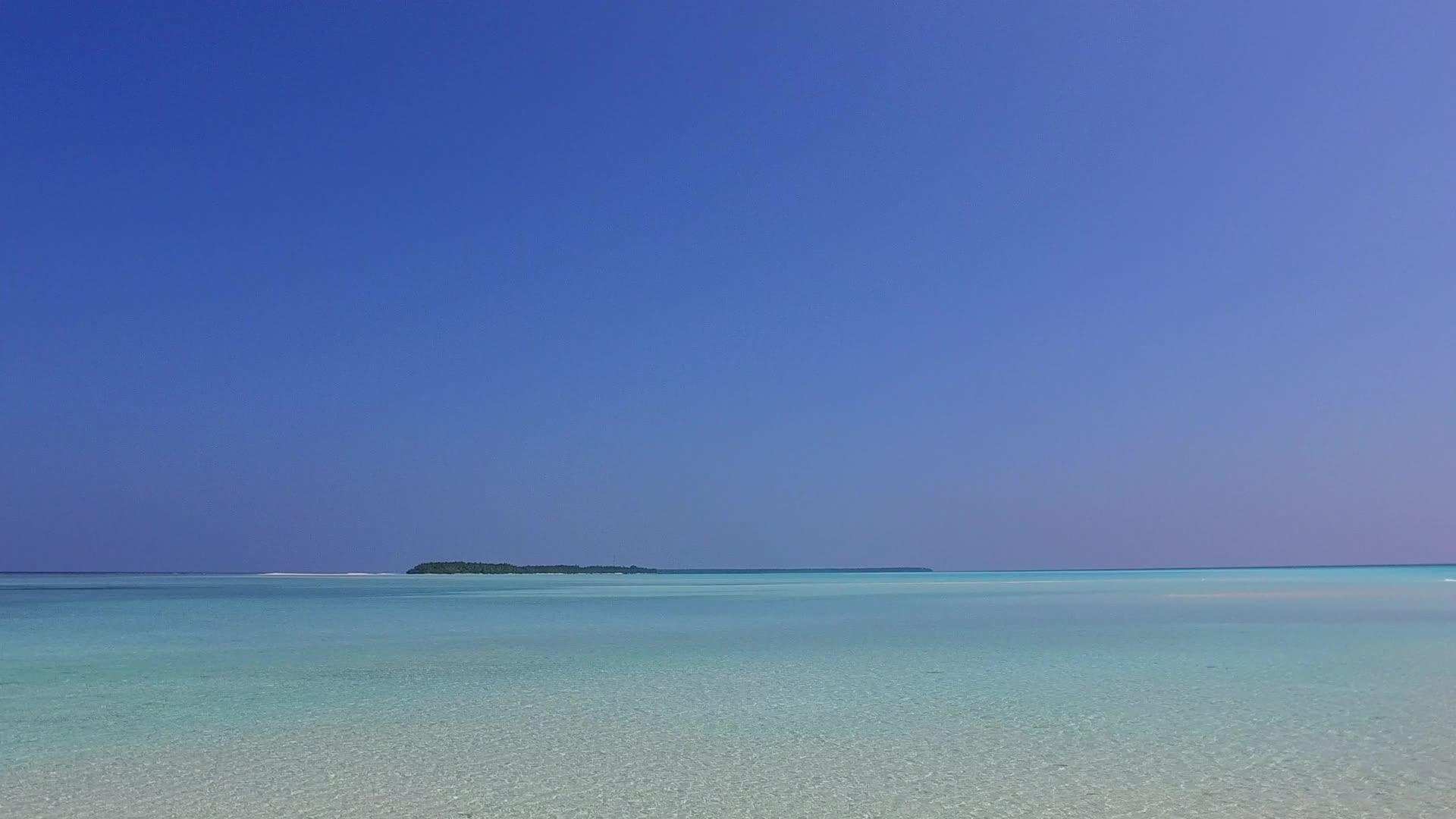 在蓝水和白沙本的背景下观察珊瑚礁附近海滩上的野生动物视频的预览图