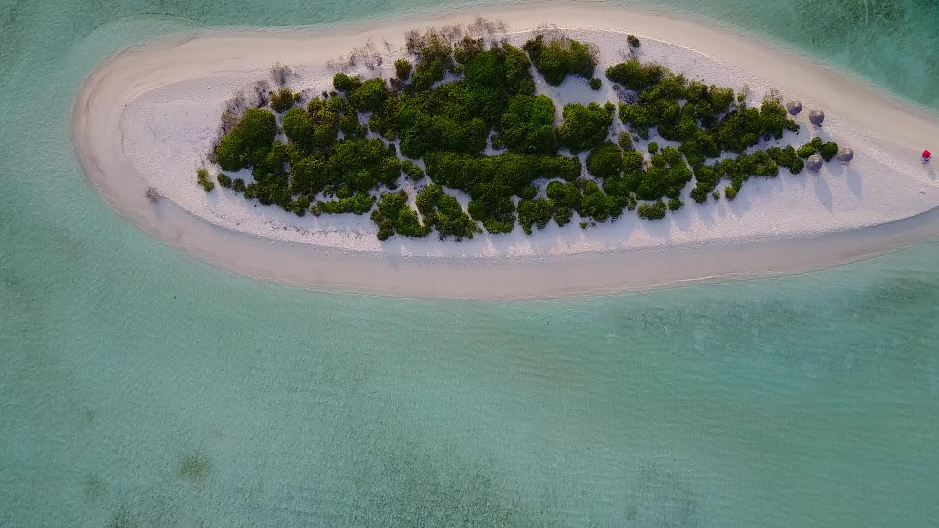 热带海景海滩度假晴朗的天空蓝绿色的大海和棕榈树视频的预览图