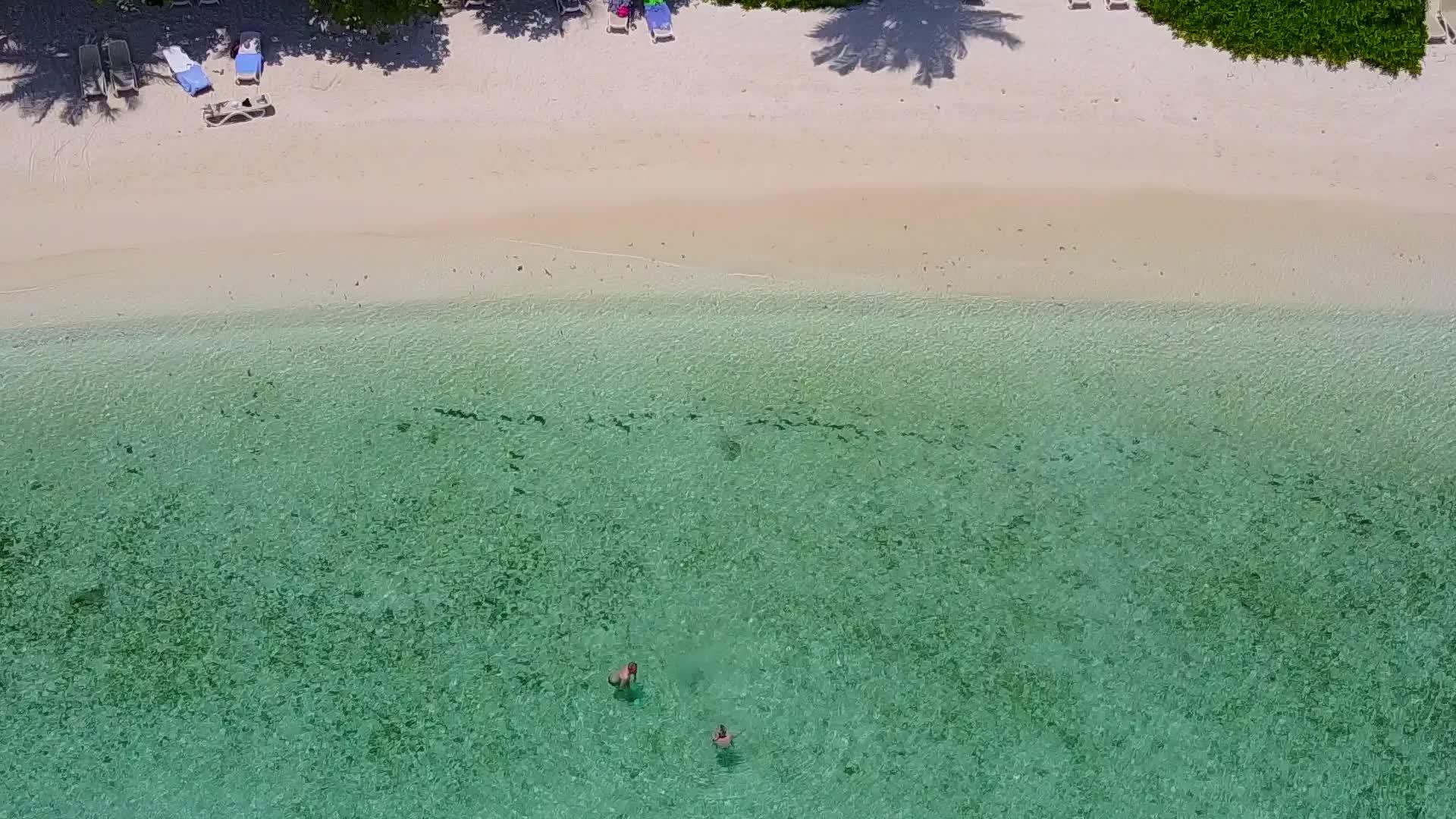 在棕榈树附近有白沙背景的蓝色海洋中阳光明媚的环礁湖海滩被打破视频的预览图