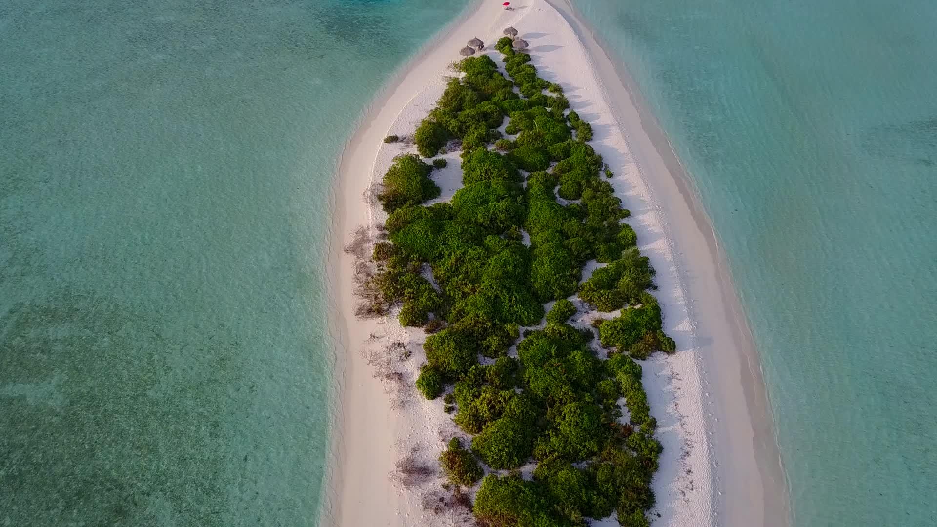 热带湾海滩冒险以蓝色绿色海洋和海滩附近的白沙沙为背景视频的预览图