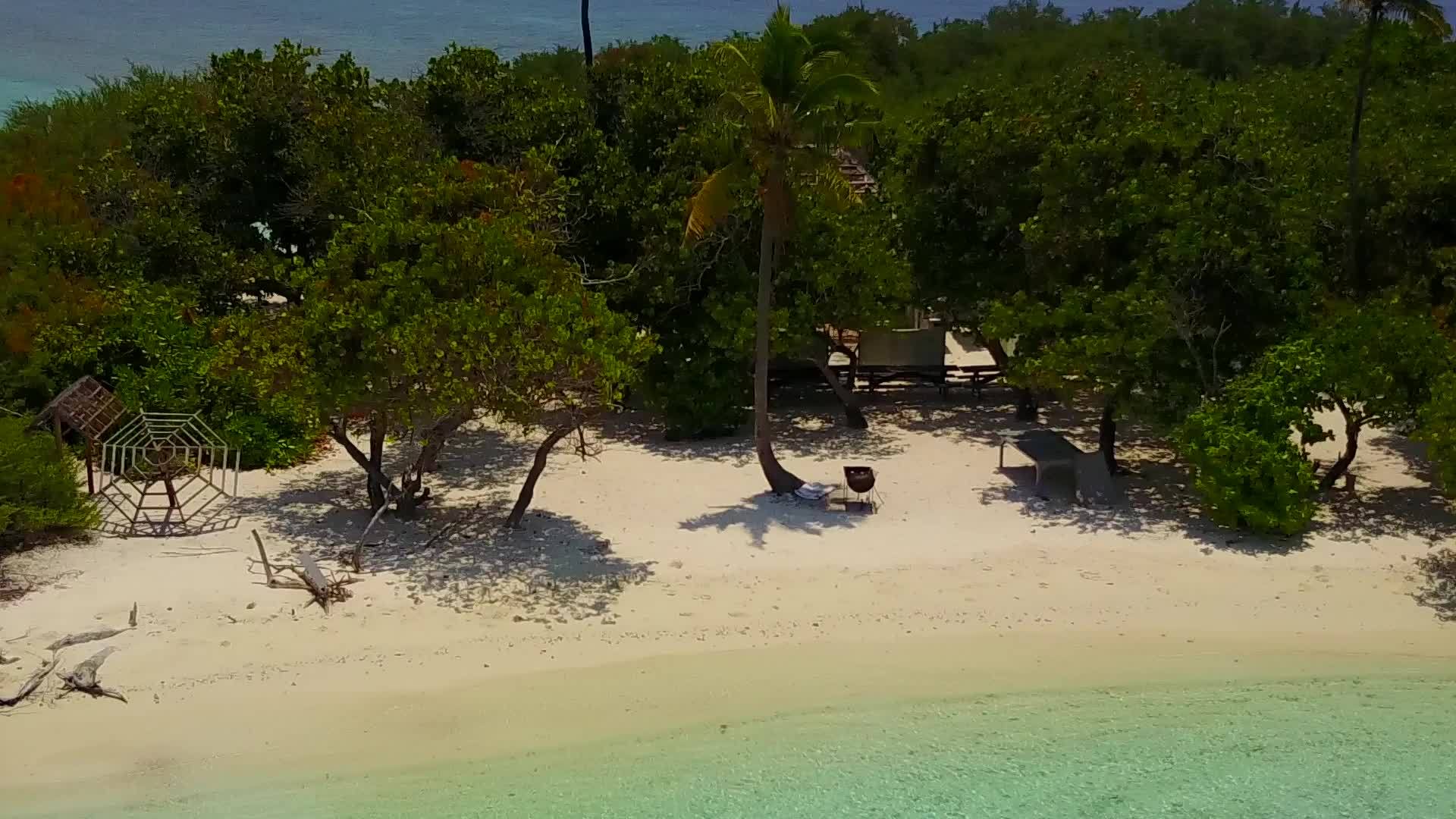 白天在光海和棕榈树附近的白色海滩上旅行视频的预览图