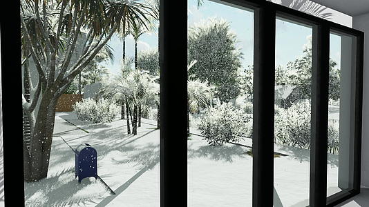 冬天从里面看雪后院的家视频的预览图