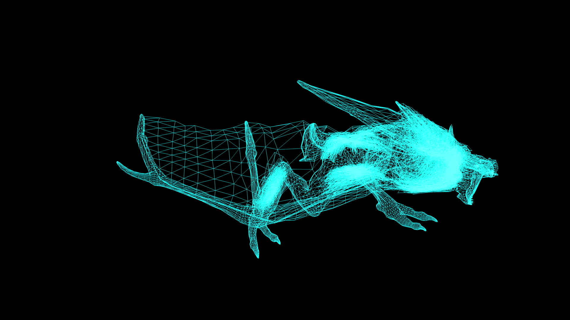 3D线框神秘野兽的动画在黑色背景下运行视频的预览图