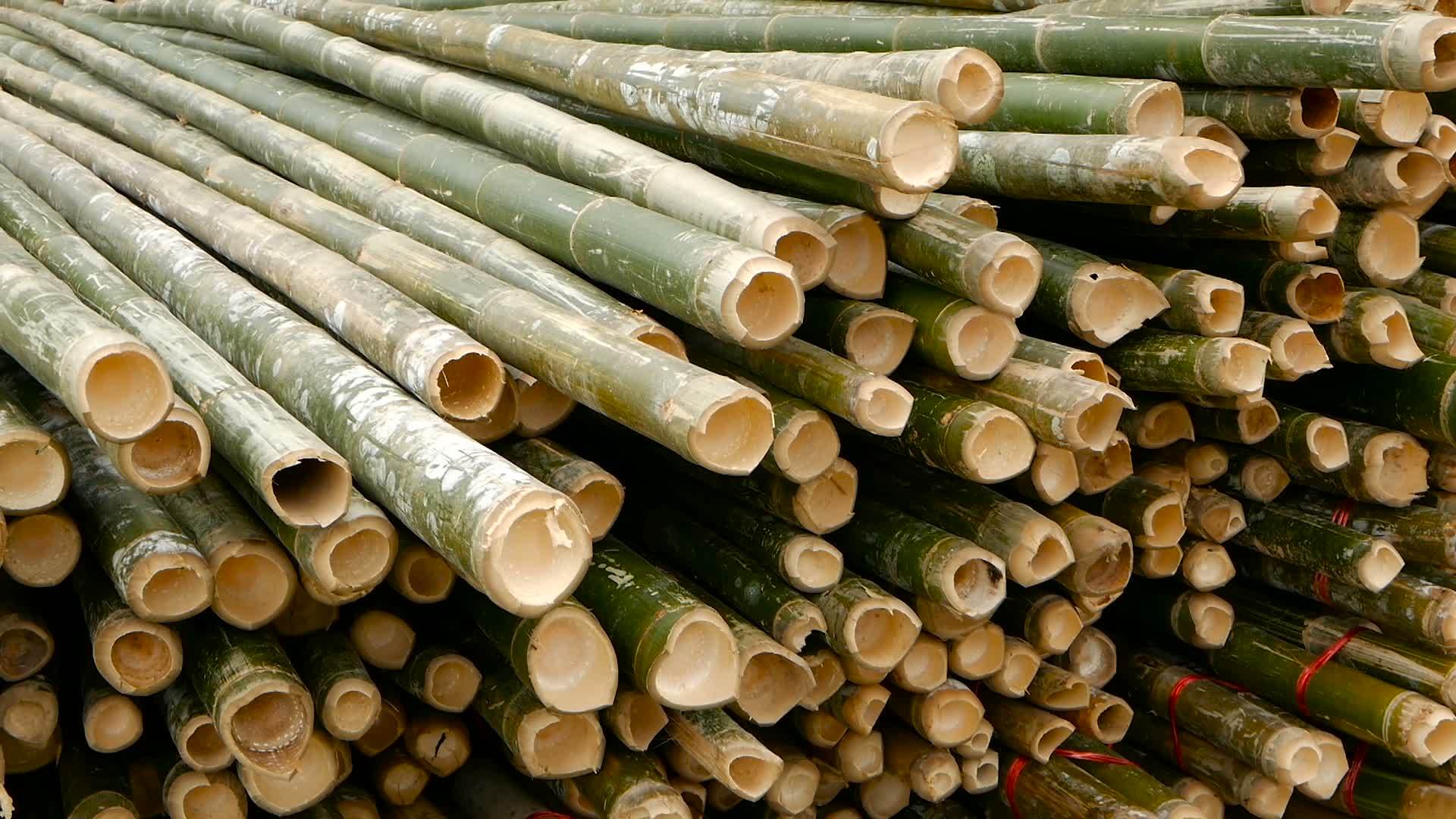 在亚洲用作建筑材料的圆形交叉切片竹树干束具有自然纹理视频的预览图