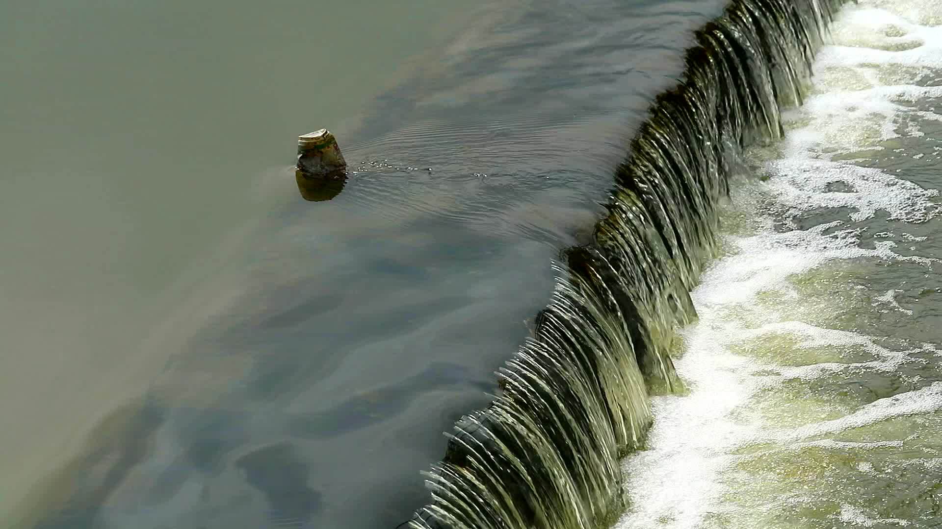 运河水面的塑料玻璃是环境污染视频的预览图