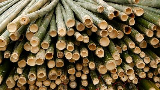 在亚洲用作建筑材料的圆形交叉切片竹树干束具有自然纹理视频的预览图