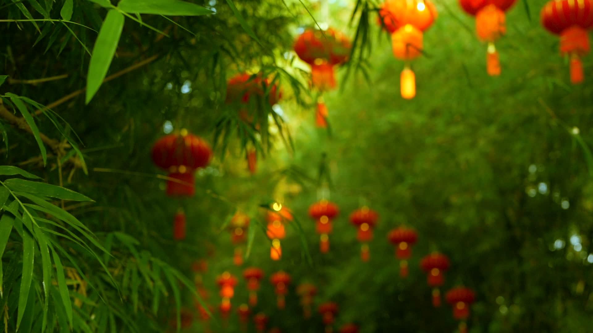 竹树隧道拱门上挂着几个传统的红灯笼视频的预览图