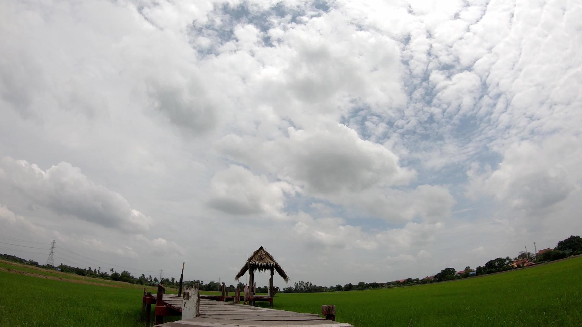 用木头和干叶建造的棚屋在稻田上建造了一座木桥在风中摇摆视频的预览图