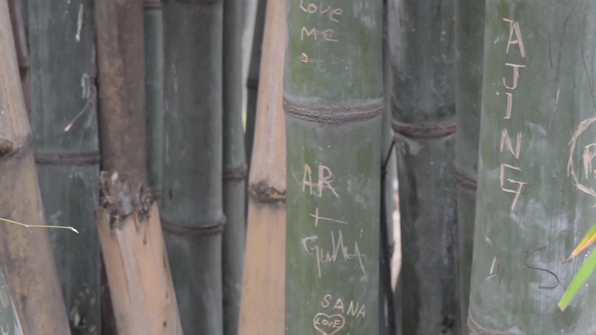竹雕剧本中的特写镜头名称和爱情标志心字符刻在竹子上视频的预览图