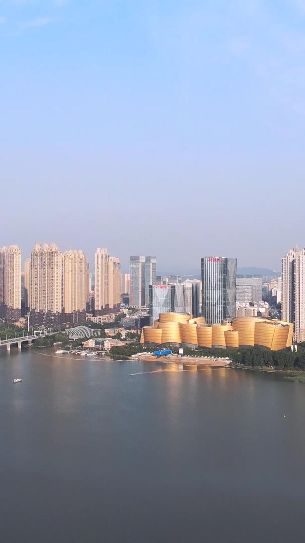 航拍城市风景武汉城中湖沙湖大桥自然风景湖景城市素材视频的预览图