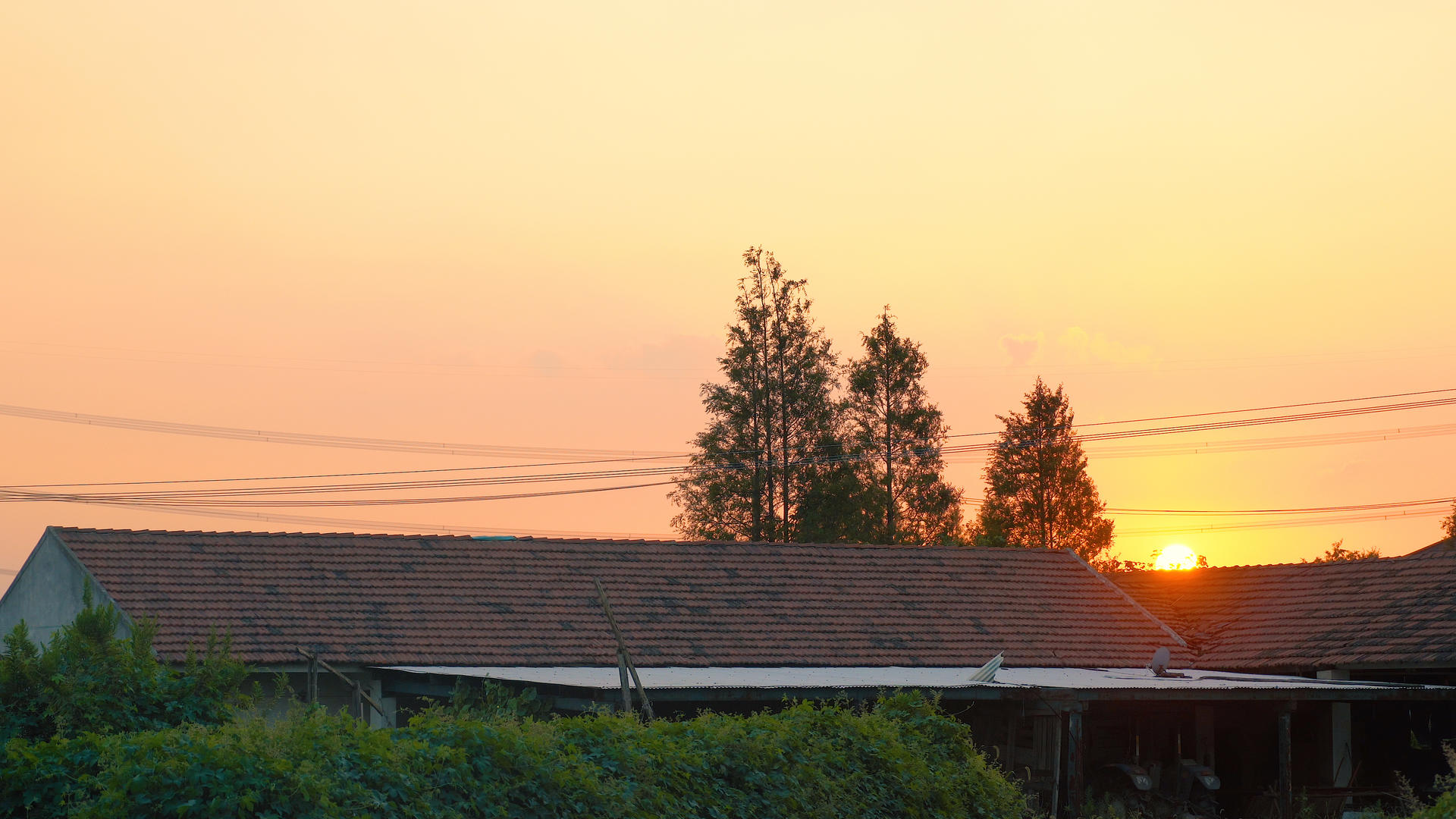 夕阳视频的预览图