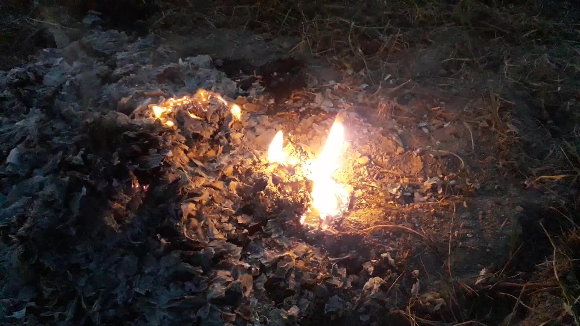 小火从火中烧出视频的预览图