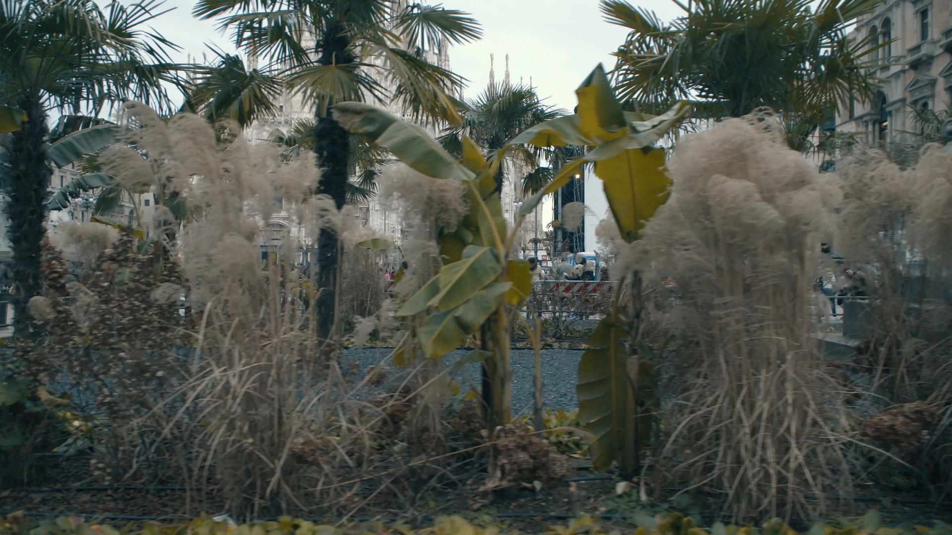 当游客在公园植被之间移动时米兰皮亚·卡杜奥莫是最著名的视频的预览图