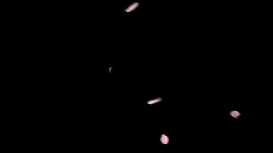 粉红色花瓣的黑色背景视频的预览图