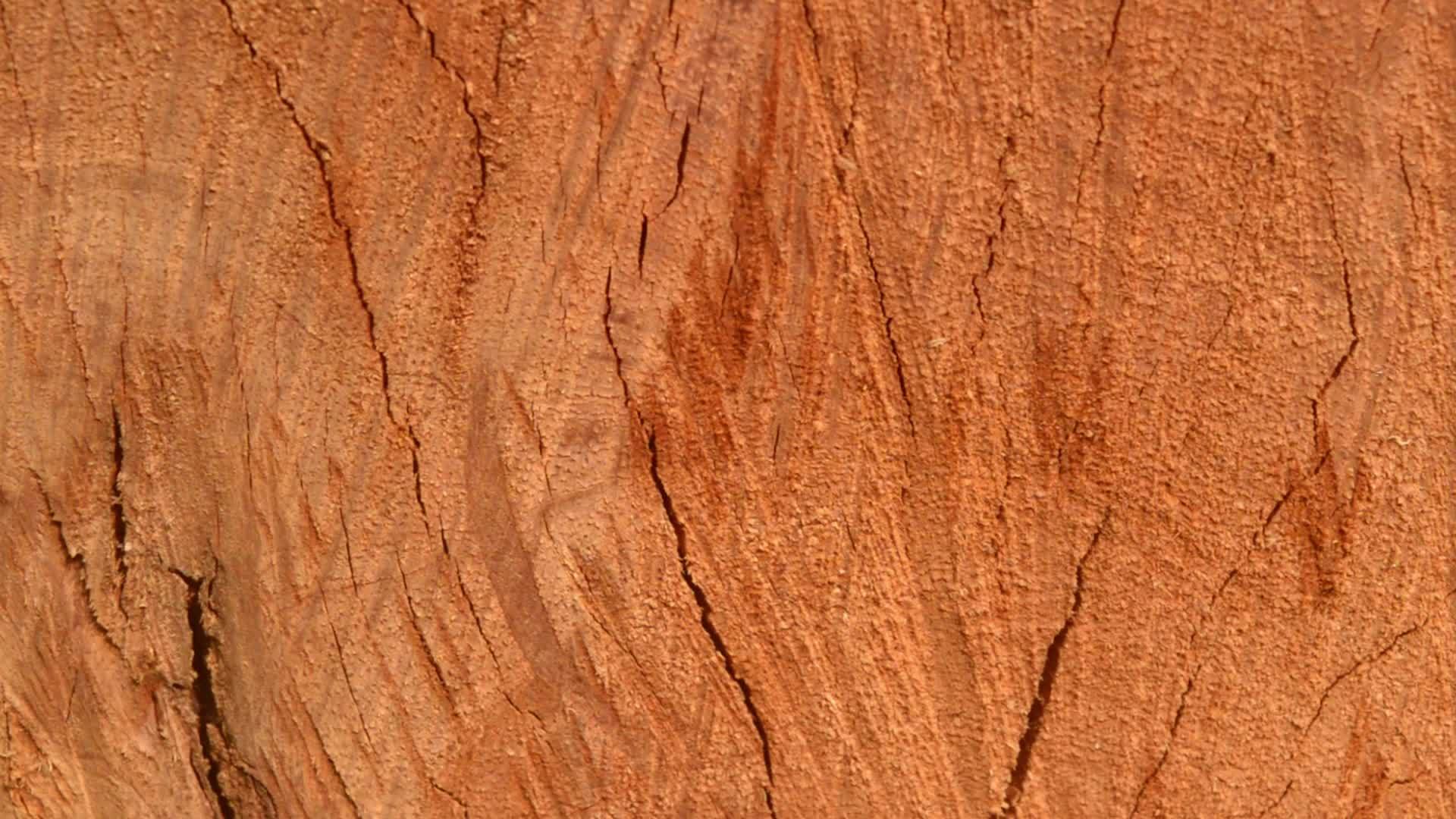 棕色胶合板木材表面复古松木硬木背景一棵粗糙的老树视频的预览图