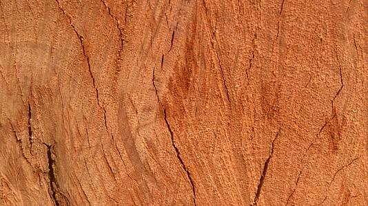 棕色胶合板木材表面复古松木硬木背景一棵粗糙的老树视频的预览图