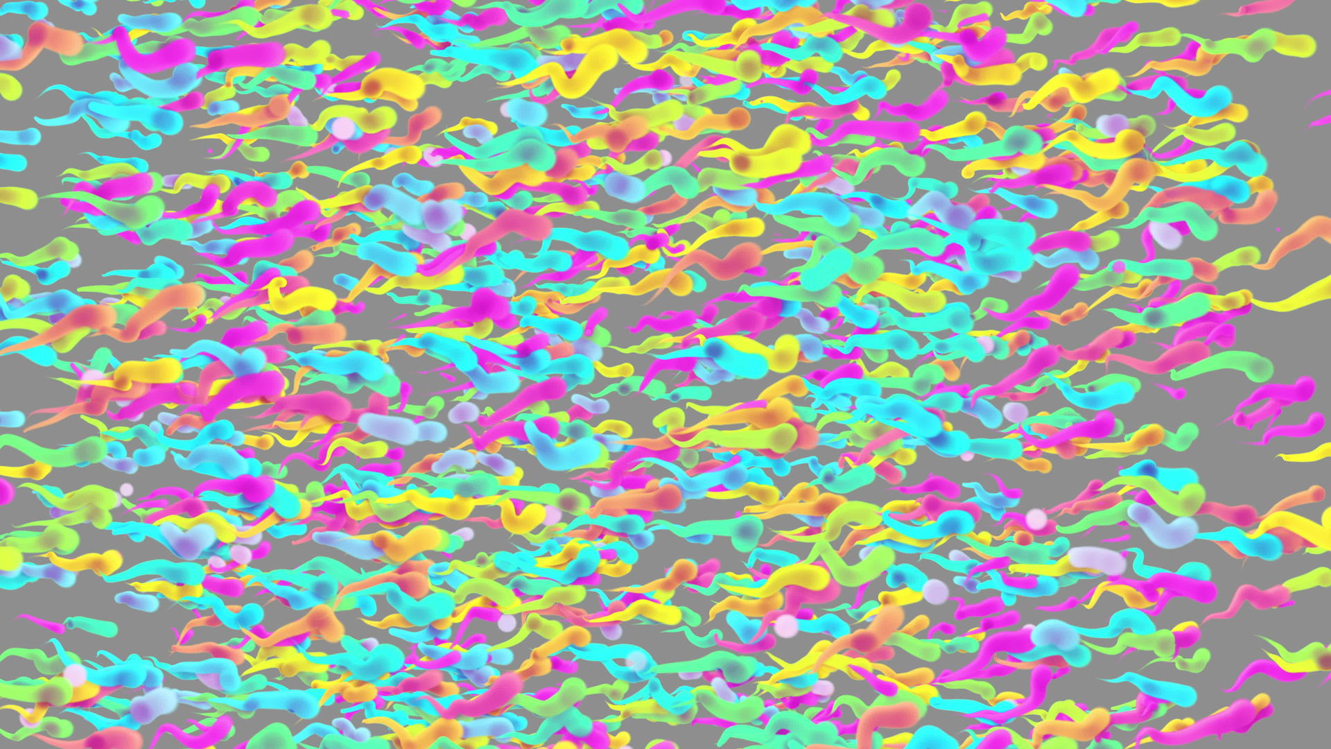 彩色鱼蝌蚪逗号水滴的彩色动画具有彩虹斑驳的移动纹理视频的预览图
