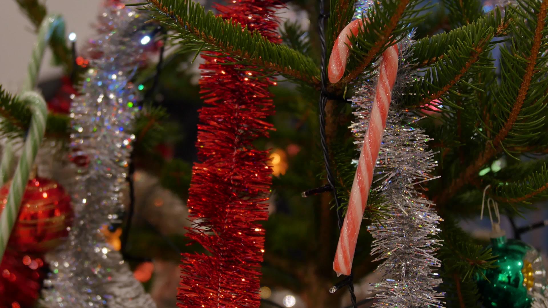 大麦甘蔗挂在圣诞树上 双音糖果手杖 糖果扭曲的圣诞手杖视频的预览图