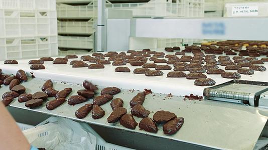 一堆美味的巧克力糖果躺在糖果厂的传送带上视频的预览图