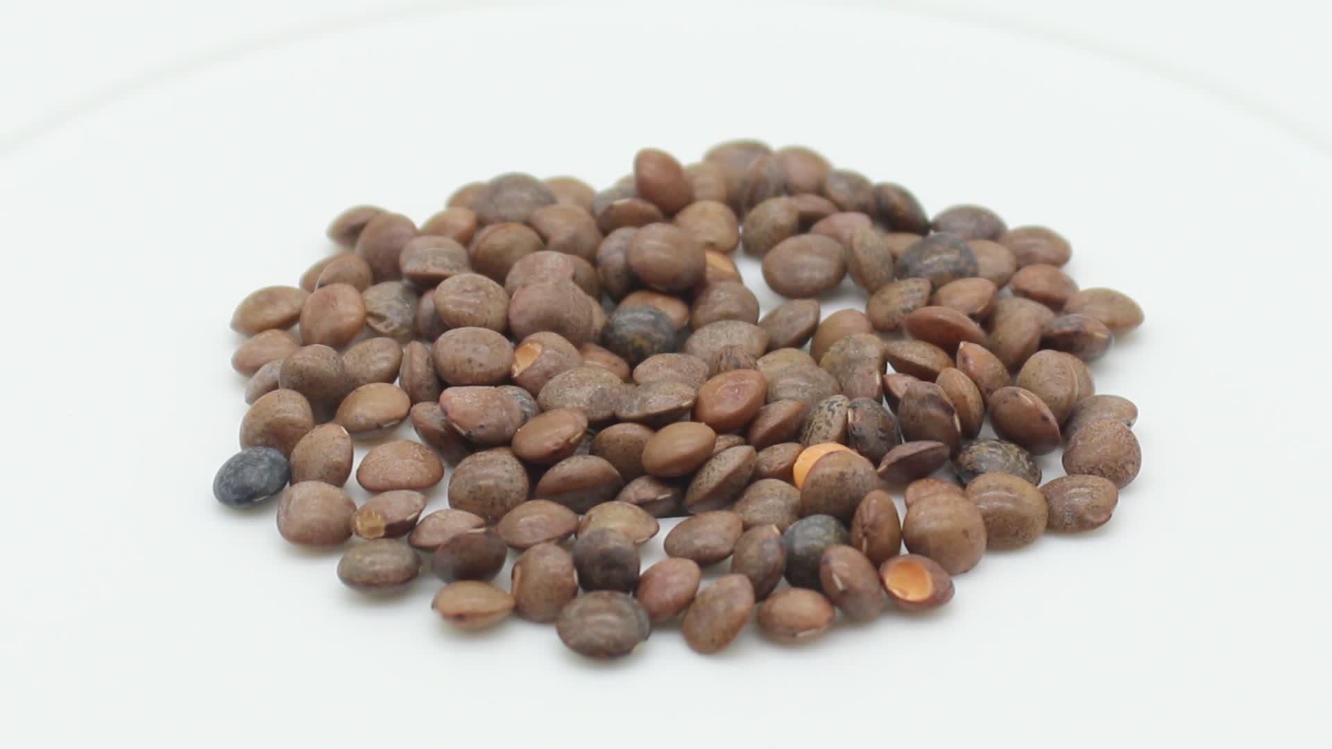 黑扁豆的白色背景视频的预览图