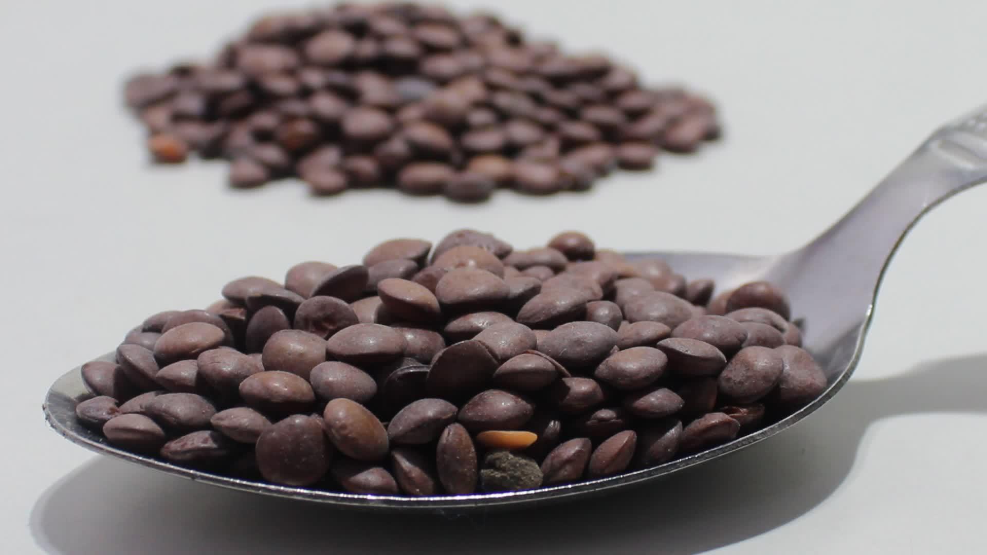 扁扁豆的白色背景视频的预览图