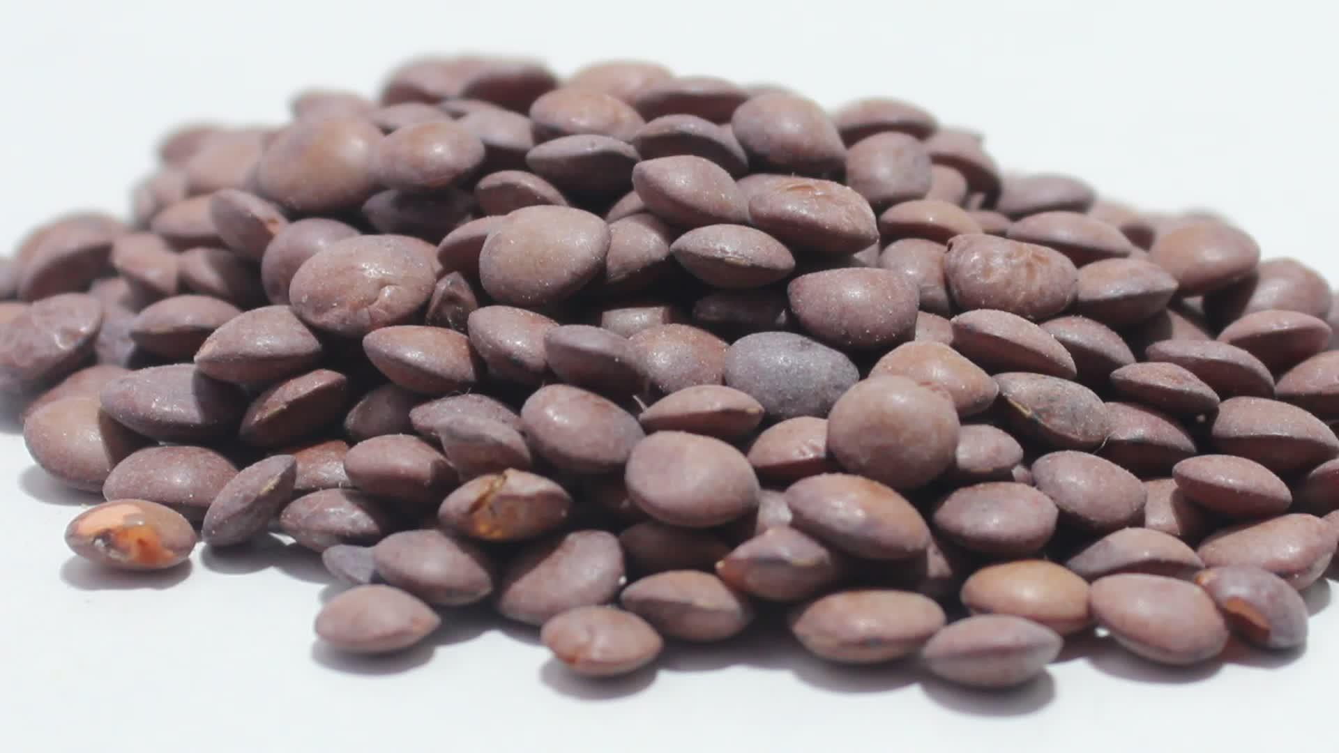 扁扁豆的白色背景视频的预览图