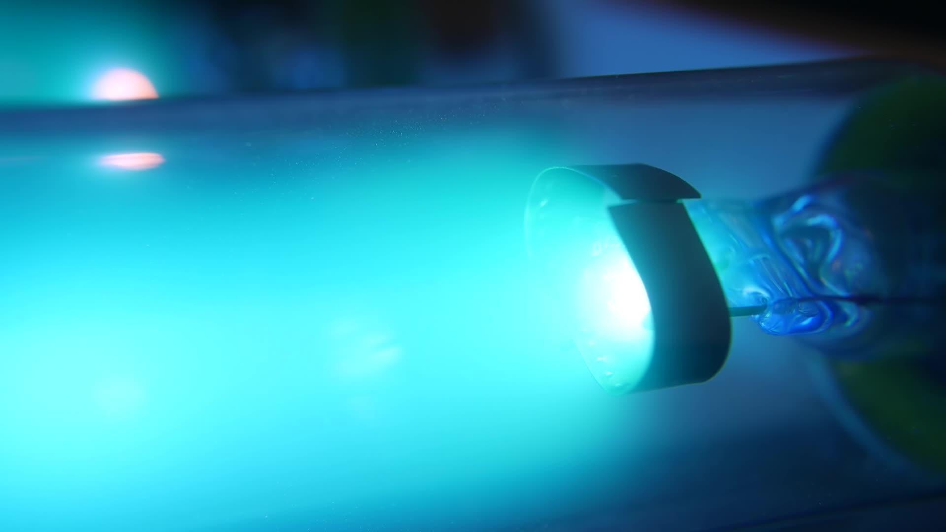 蓝色霓虹灯uv灯泡紫外线抗菌石英灯空气消毒净化视频的预览图